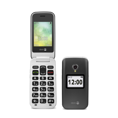 Teléfono móvil 2424 2G - gris/blanco